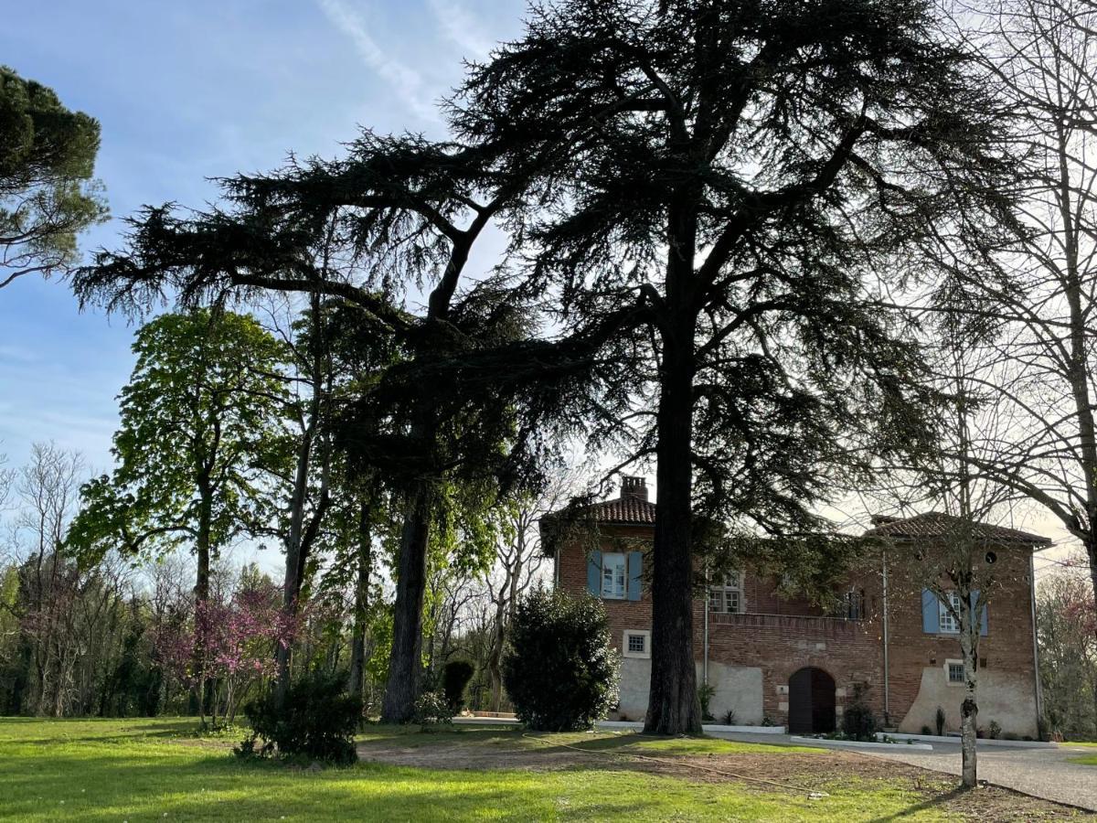 Chateau Du Go Albi Zewnętrze zdjęcie