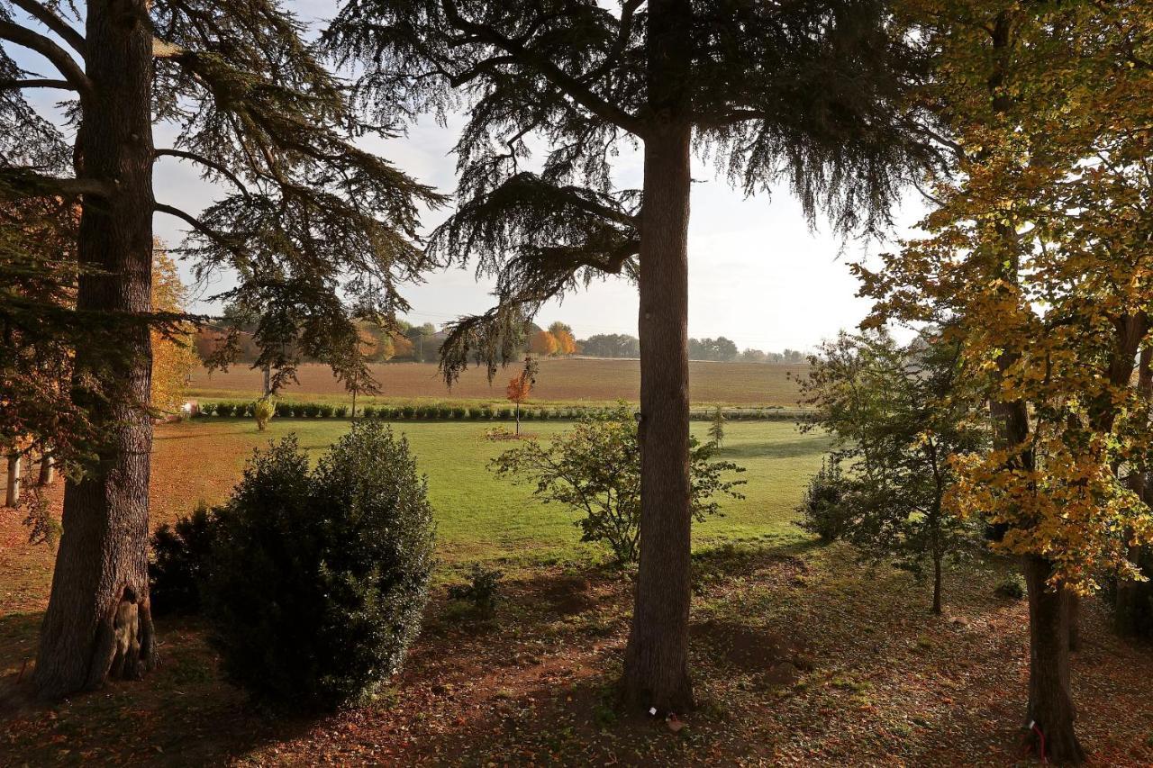 Chateau Du Go Albi Zewnętrze zdjęcie