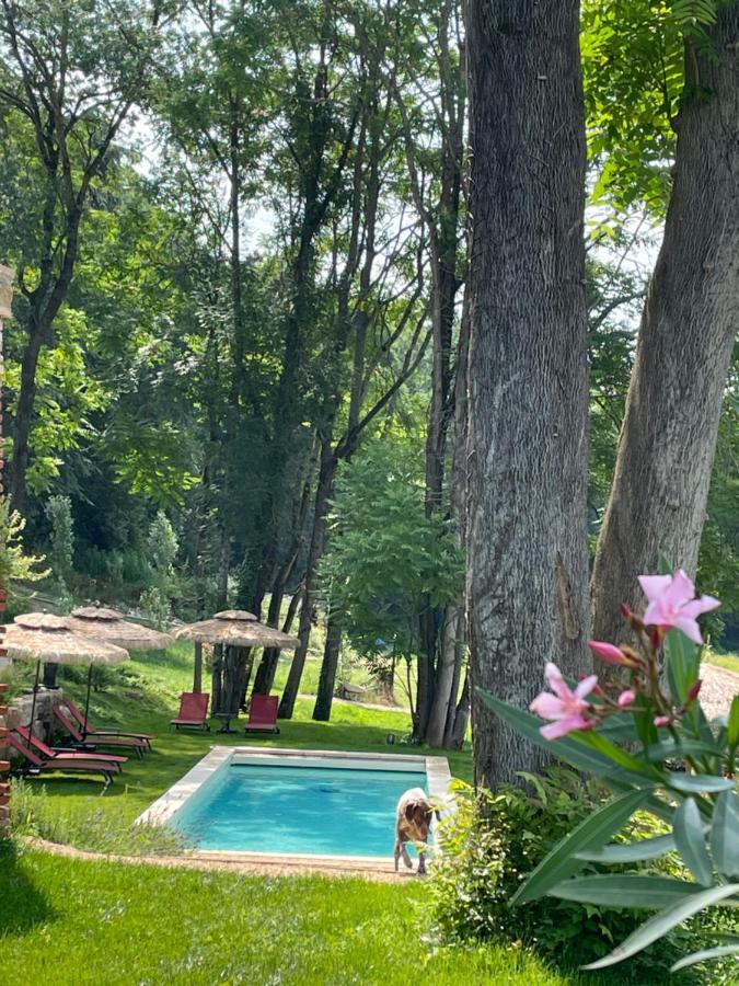 Chateau Du Go Albi Zewnętrze zdjęcie
